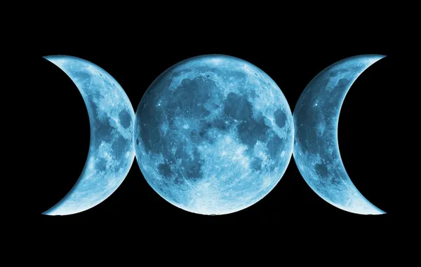 Викка Голубая Луна — стоковое фото