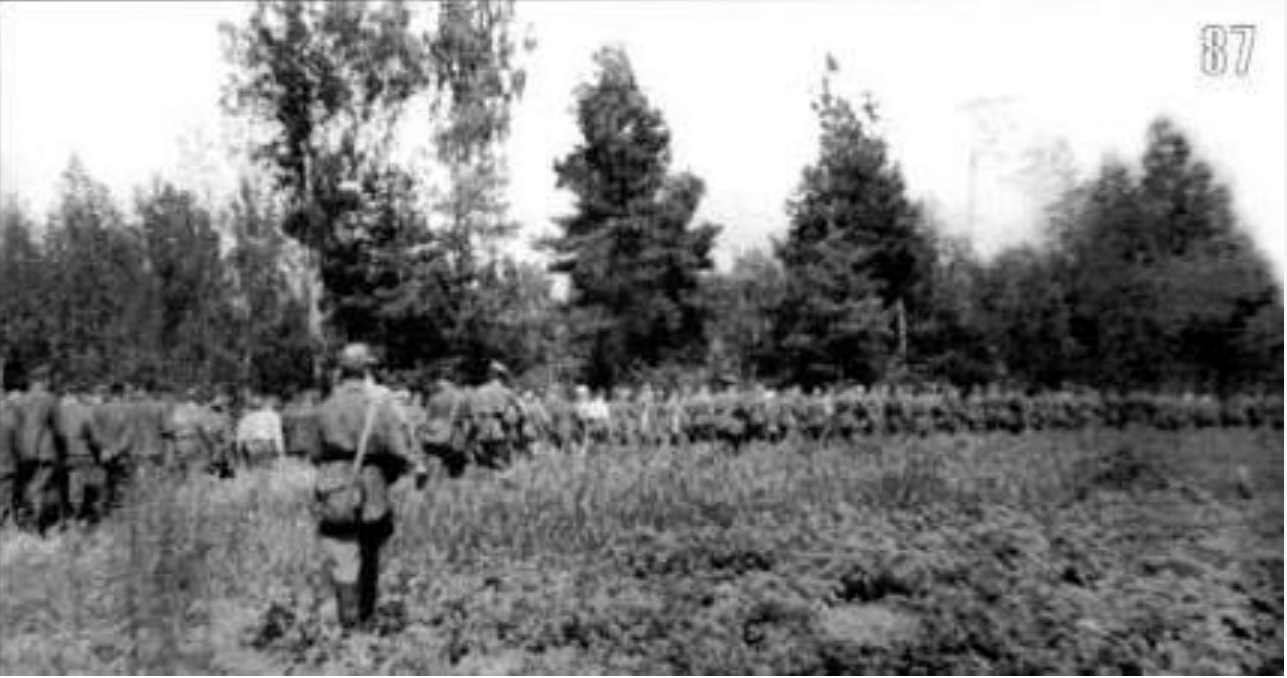 boi-tsy-voi-sk-nkvd-konvoiruyut-v-tyl-plennyh-vzyatyh-v-boyah-pod-elnei-sentyabr-1941