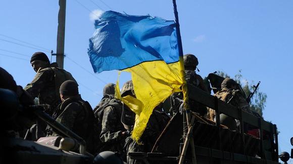 цвета флага украины
