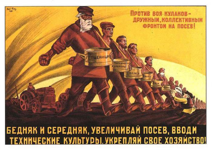 Сплошная коллективизация в зерновых районах СССР произошла в 
