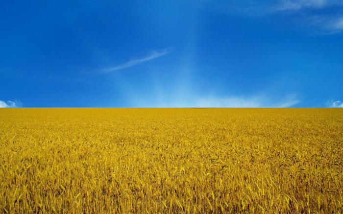 Цвета украинского флага символизирует