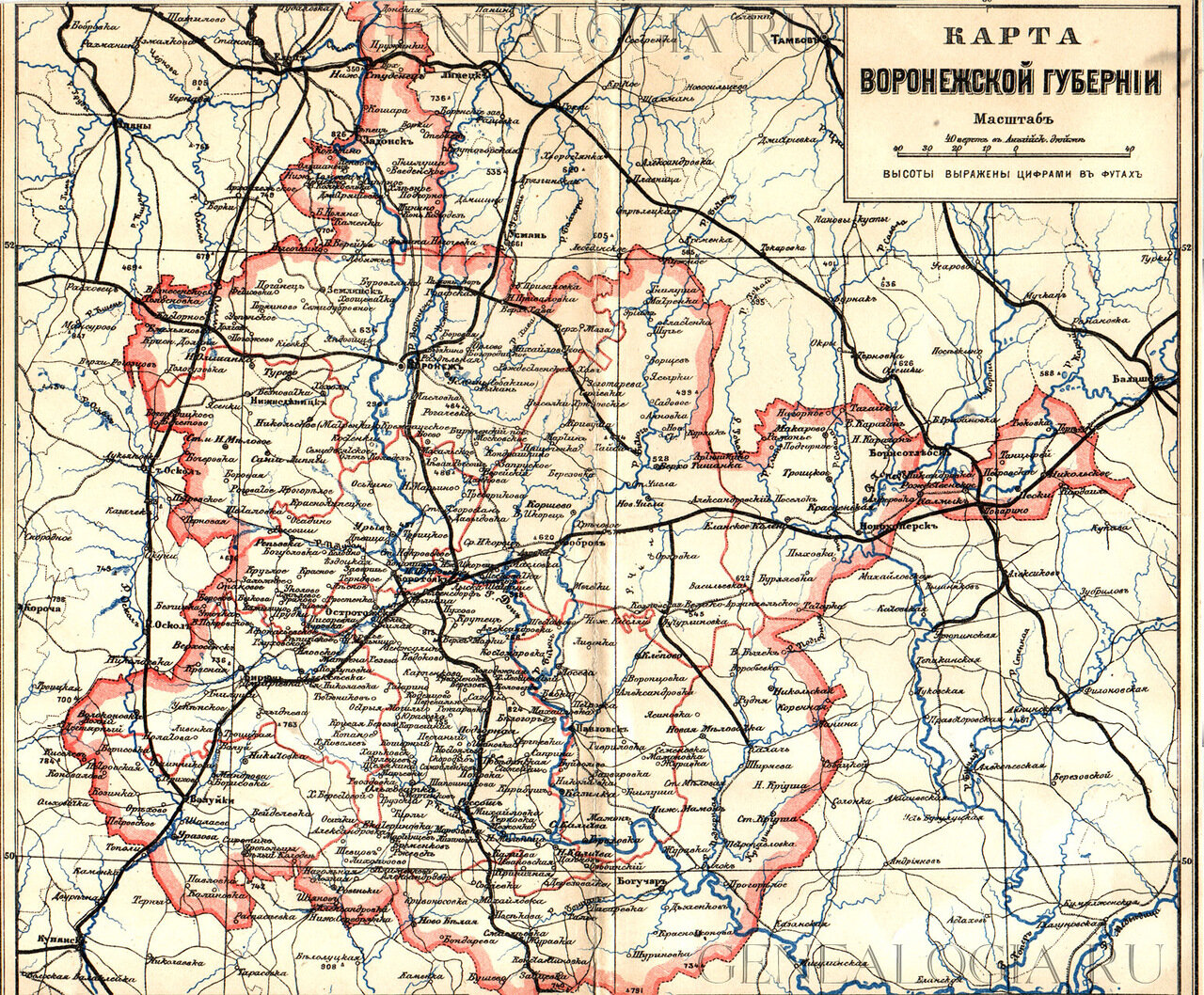 Карта Воронежской губернии конец 19 века