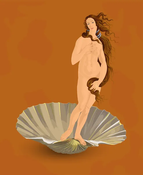 Венера. идеал женской красоты — стоковый вектор