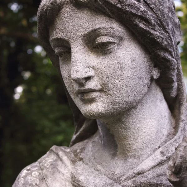 Face of goddess of love Aphrodite (Venus) — стоковое фото